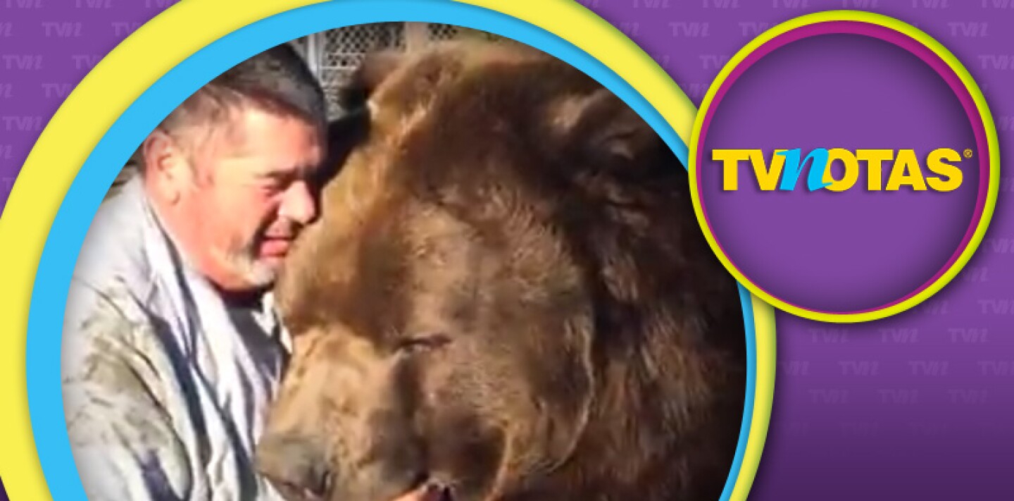 Sorprende a redes sociales hermosa amistad entre un oso pardo y su cuidador humano.