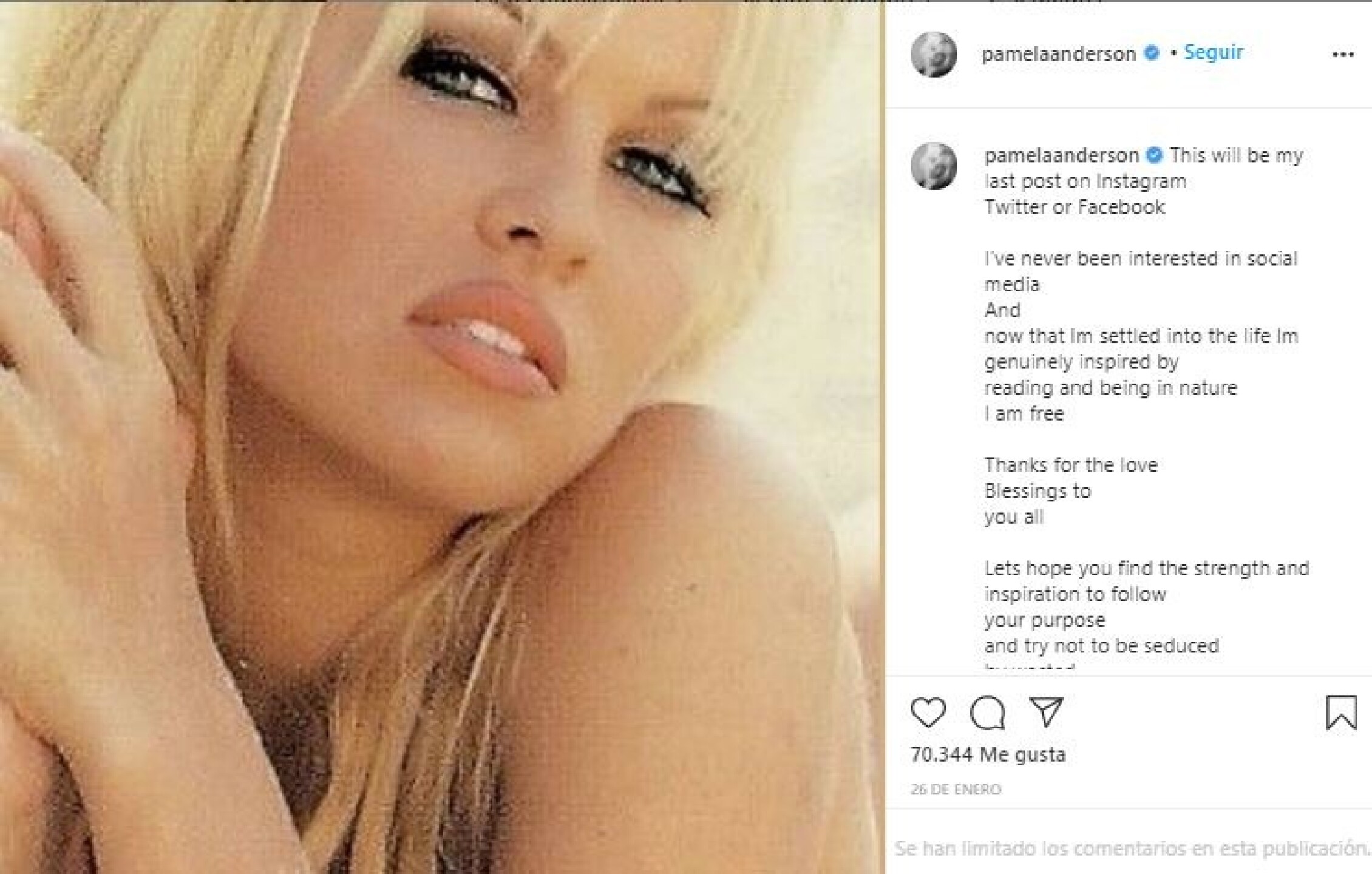 redes sociales conspiraciones Pamela Anderson