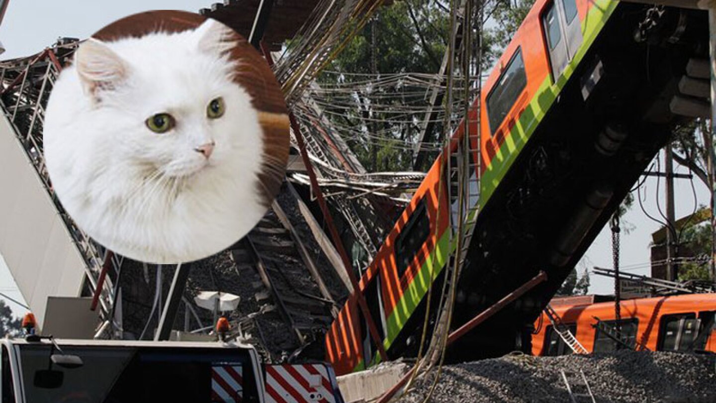 gato linea 12 metro