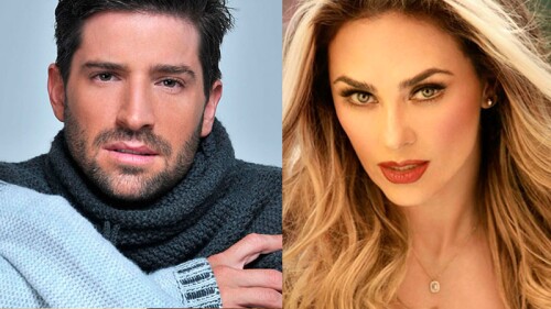 Aracely Arámbula le habría hecho la vida de cuadritos a David Chocarro ¡porque la rechazó!