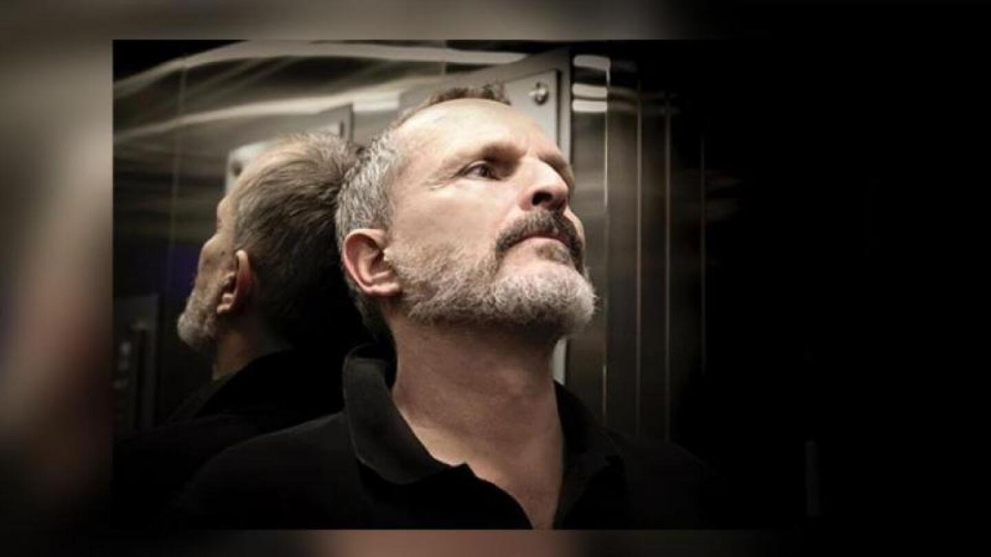 Se aplaza juicio de Miguel Bosé con su ex pareja por custodia de sus hijos