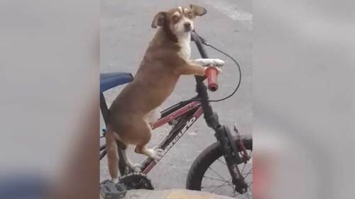 Su amistad enterneció a todos.