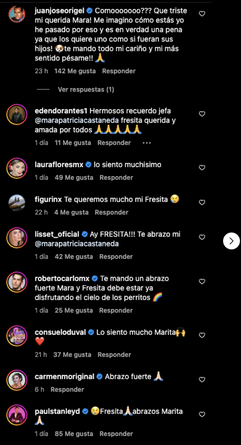 Mara Patricia Castañeda se viste de luto y despide a un ser querido