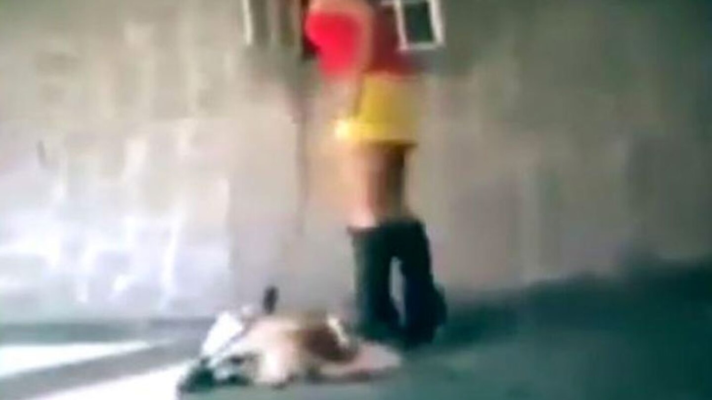 Patea a perrito n.