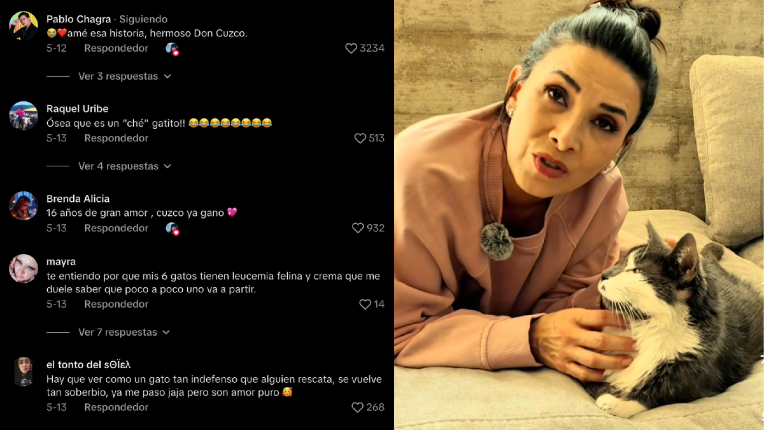 Dalilah Polanco se despide del amor de su vida: su gato tiene un tumor inoperable