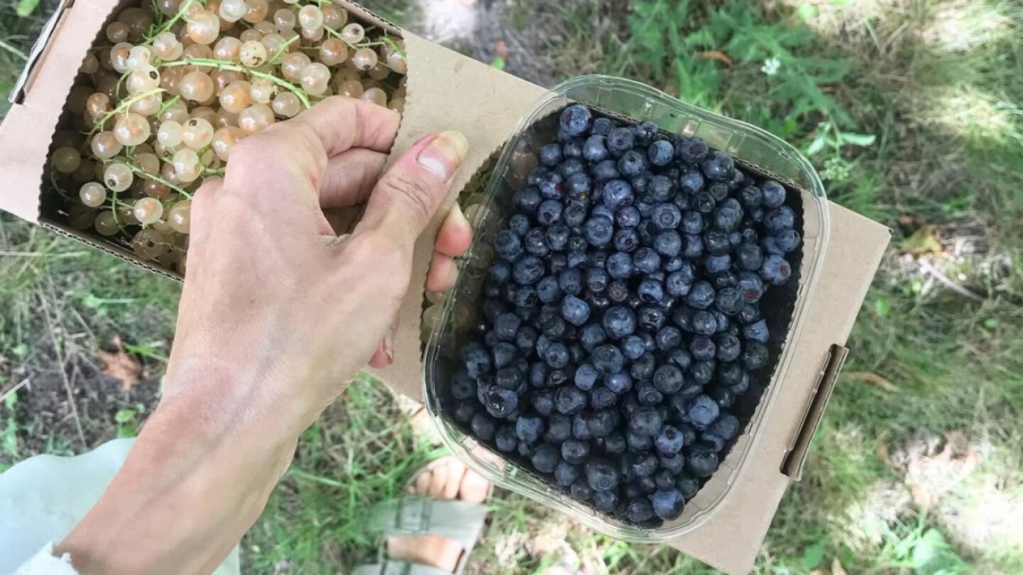 influencer-solo-comia-fruta-redes-sociales.jpg