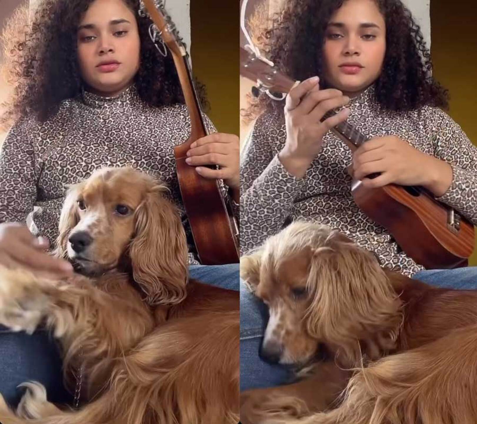 La Academia: Cesia se viste de luto y da el último adiós a su mascota