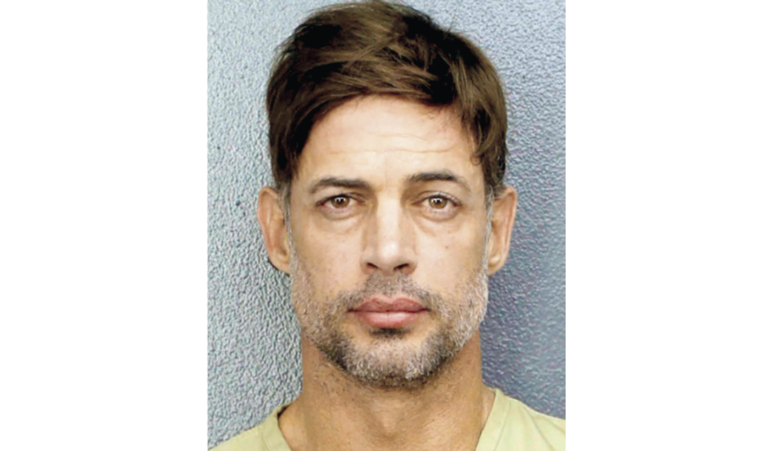 William Levy detenido