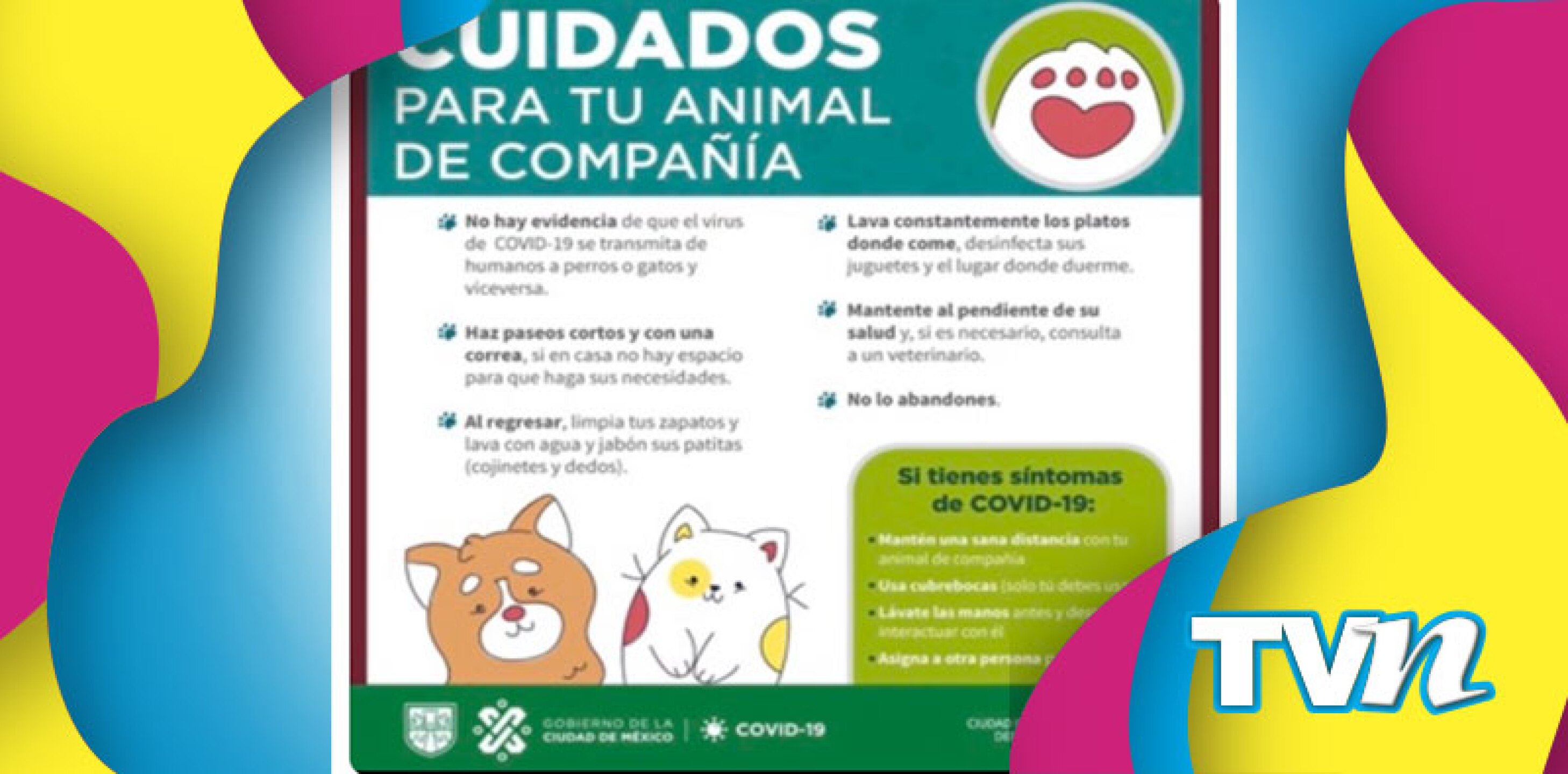 Comunicado CDMX Mascotas Compañía