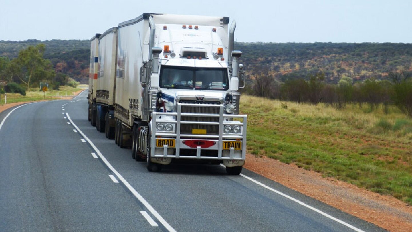 Chofer trata de matar un insecto en la carretera y por poco termina muerto