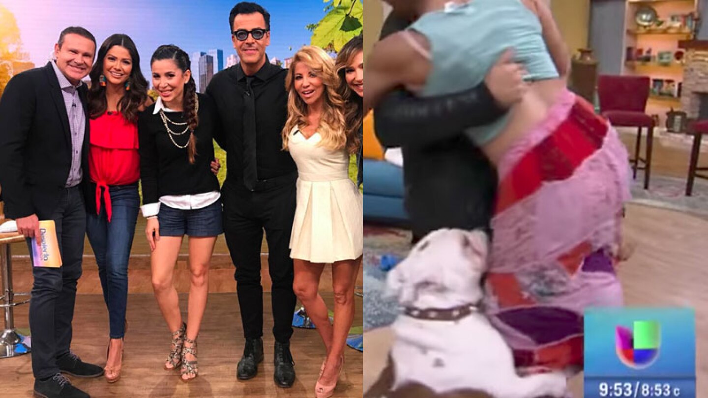 Perro muerde a conductora de Despierta América en pleno programa.