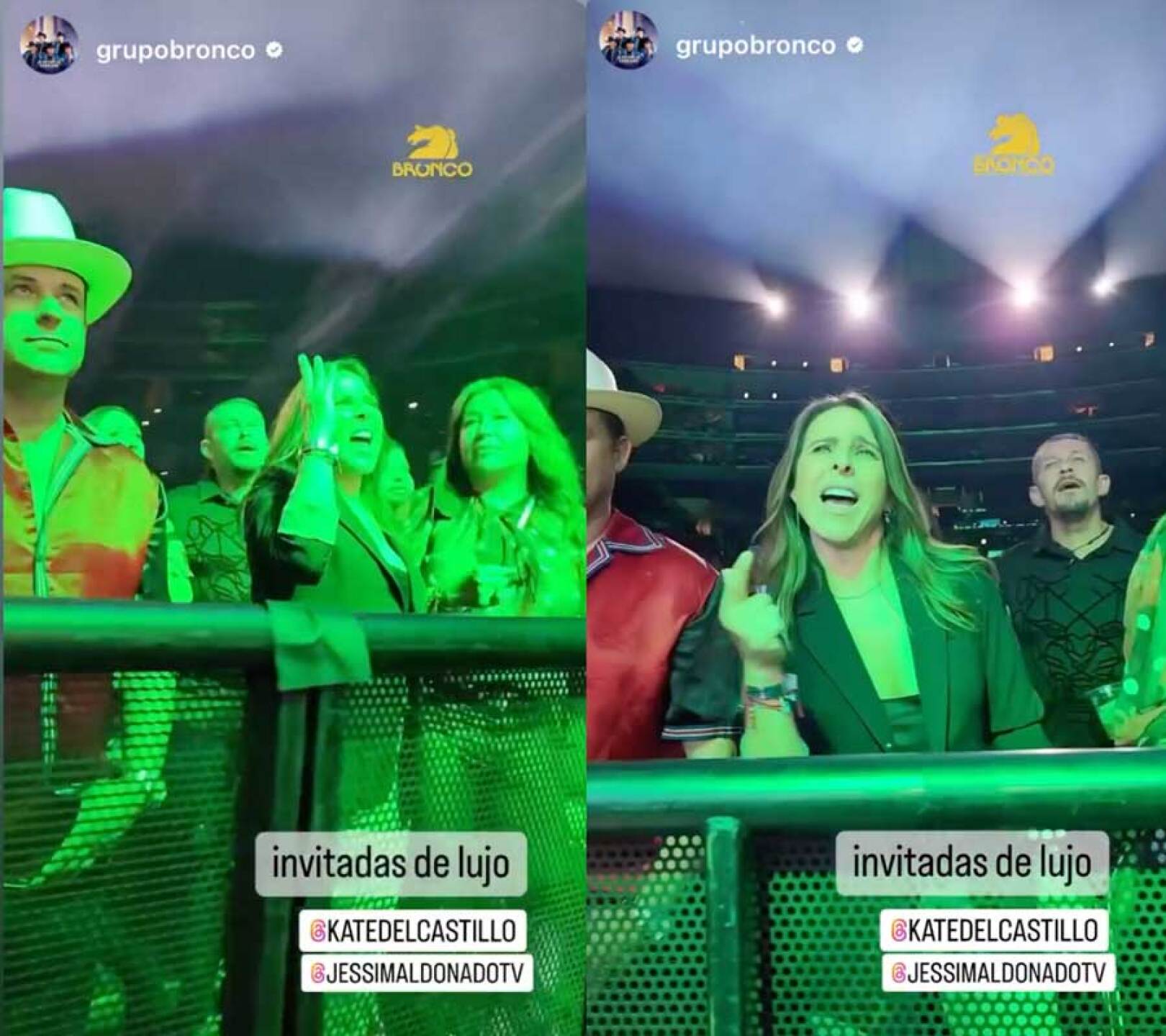 A Kate del Castillo se le habrían pasado las copas en concierto de Bronco