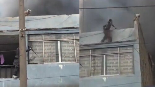 Indigente salva a perros de un incendio