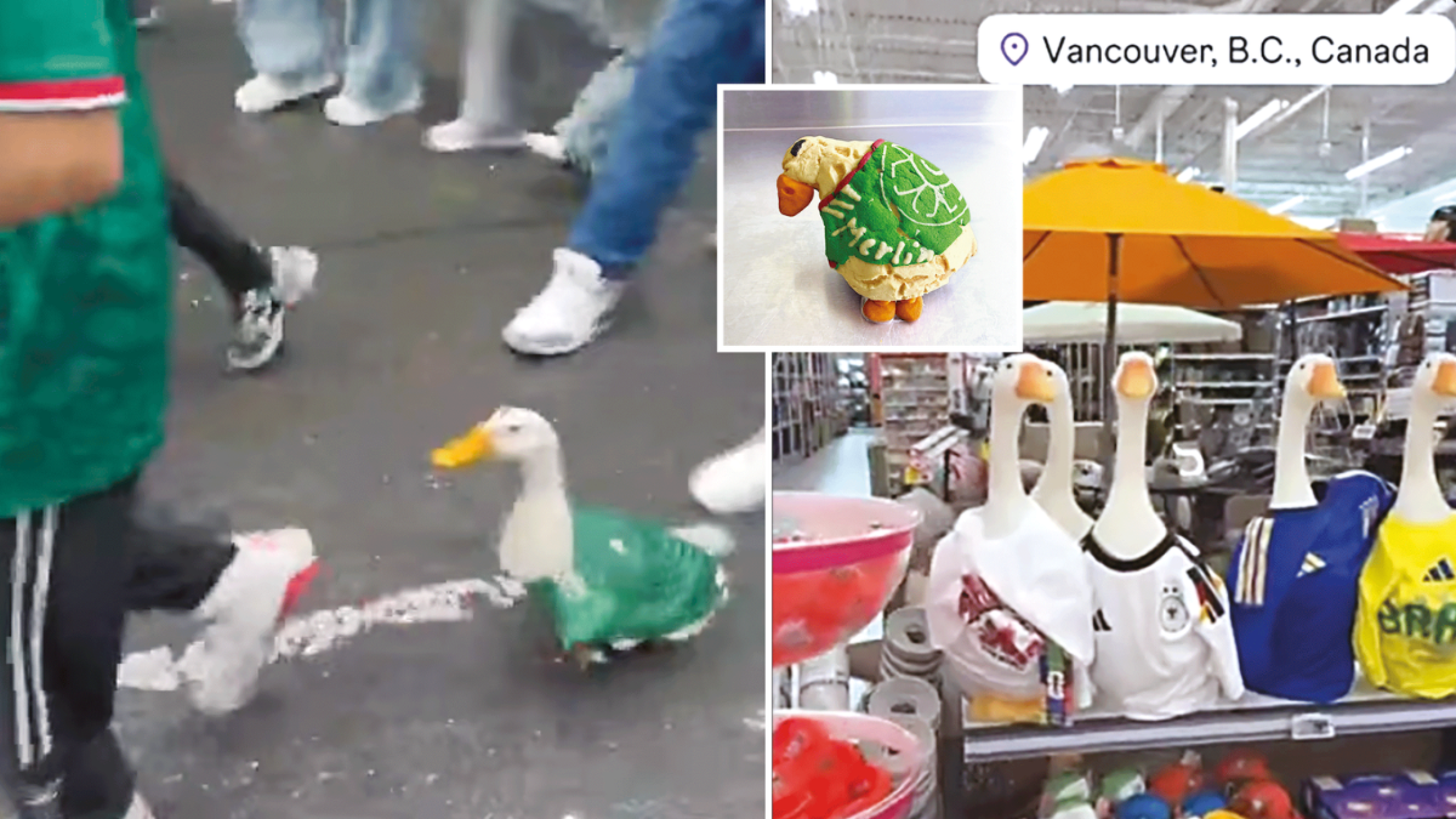 En Canadá venden réplicas del Pato Merlín, debido a su éxito