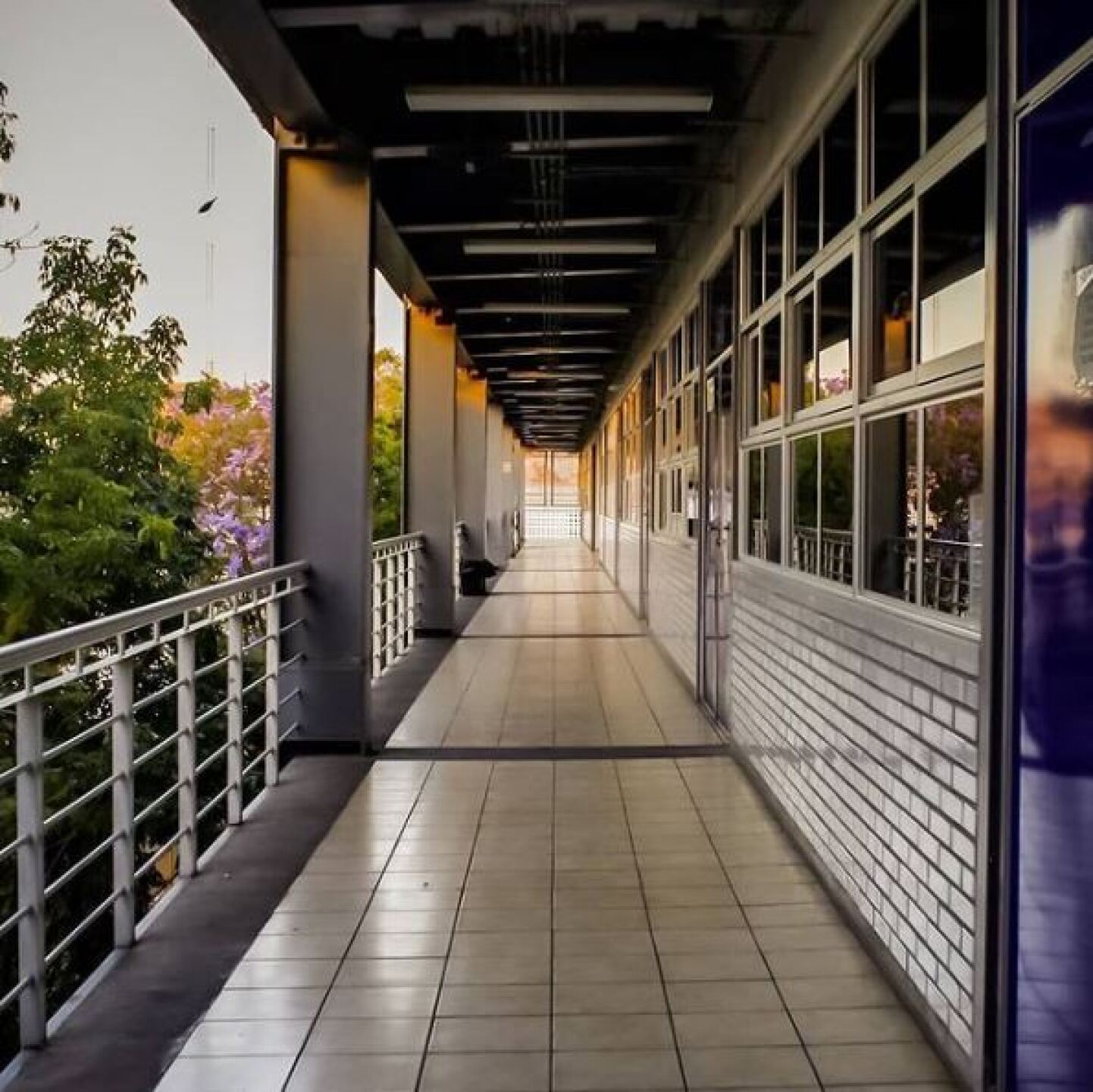 Regreso a clases presenciales.