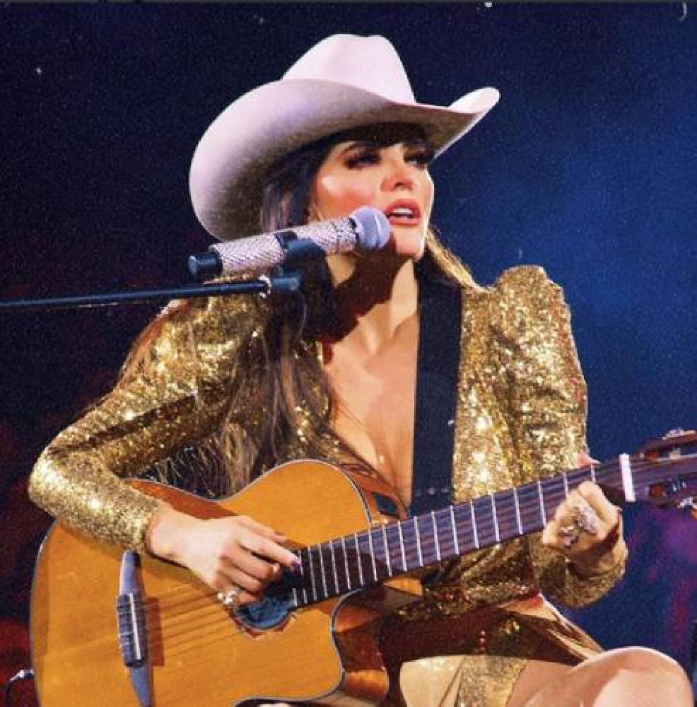 Ana Bárabara conciertos