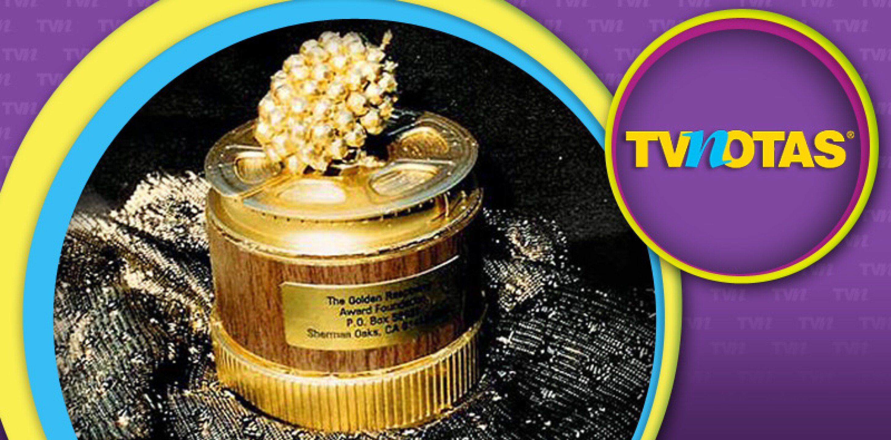 Premios Razzie 2017 w.