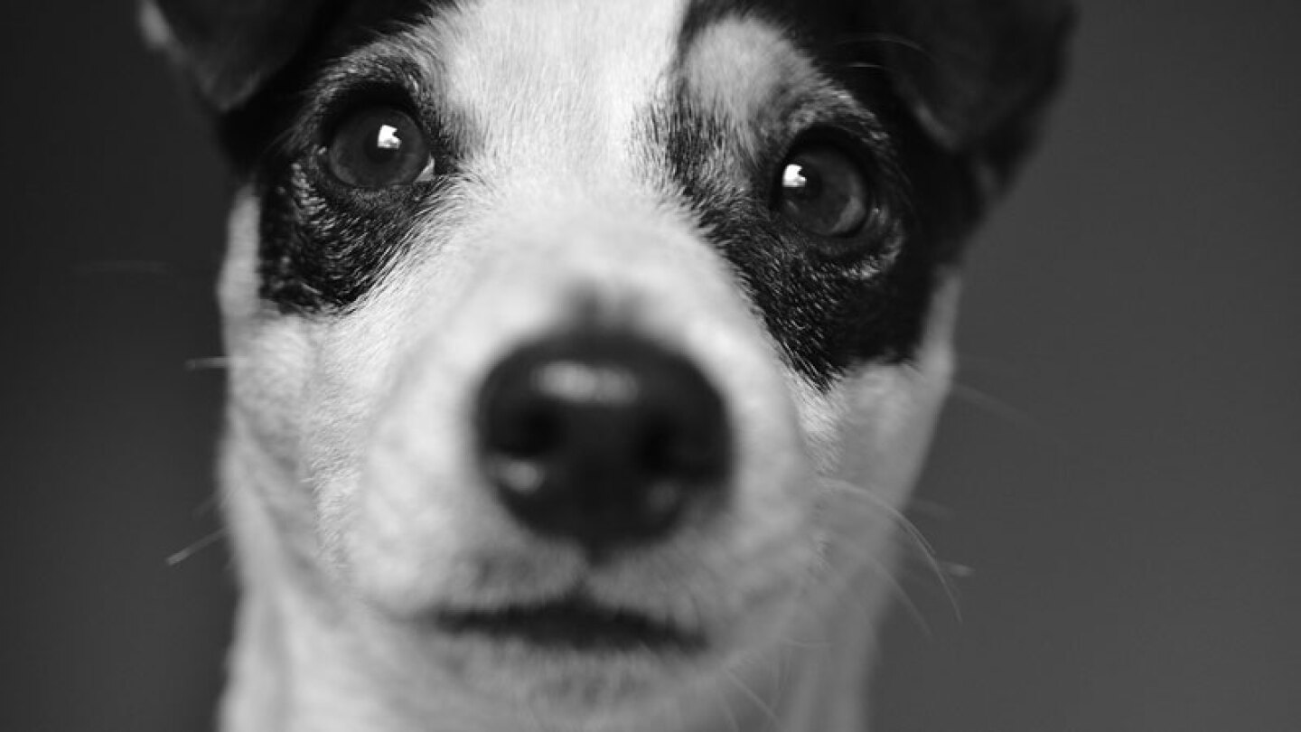 A continuación el video del momento exacto en que los salvan, estaban en condiciones lamentables.