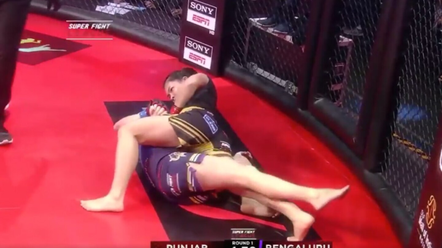 Artes marciales mixtas.