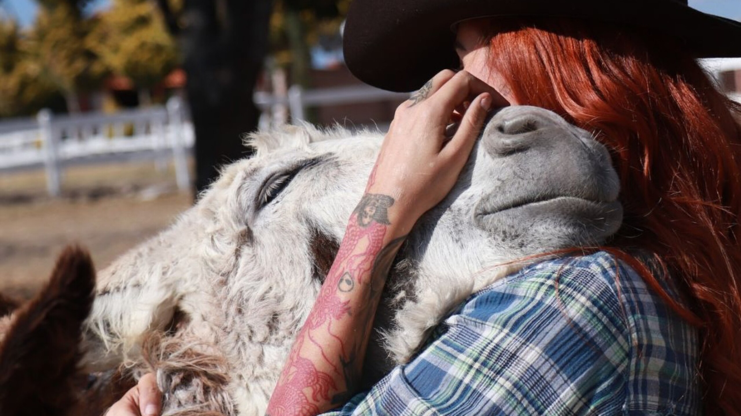 elena-larrea-cuacolandia (2).jpg