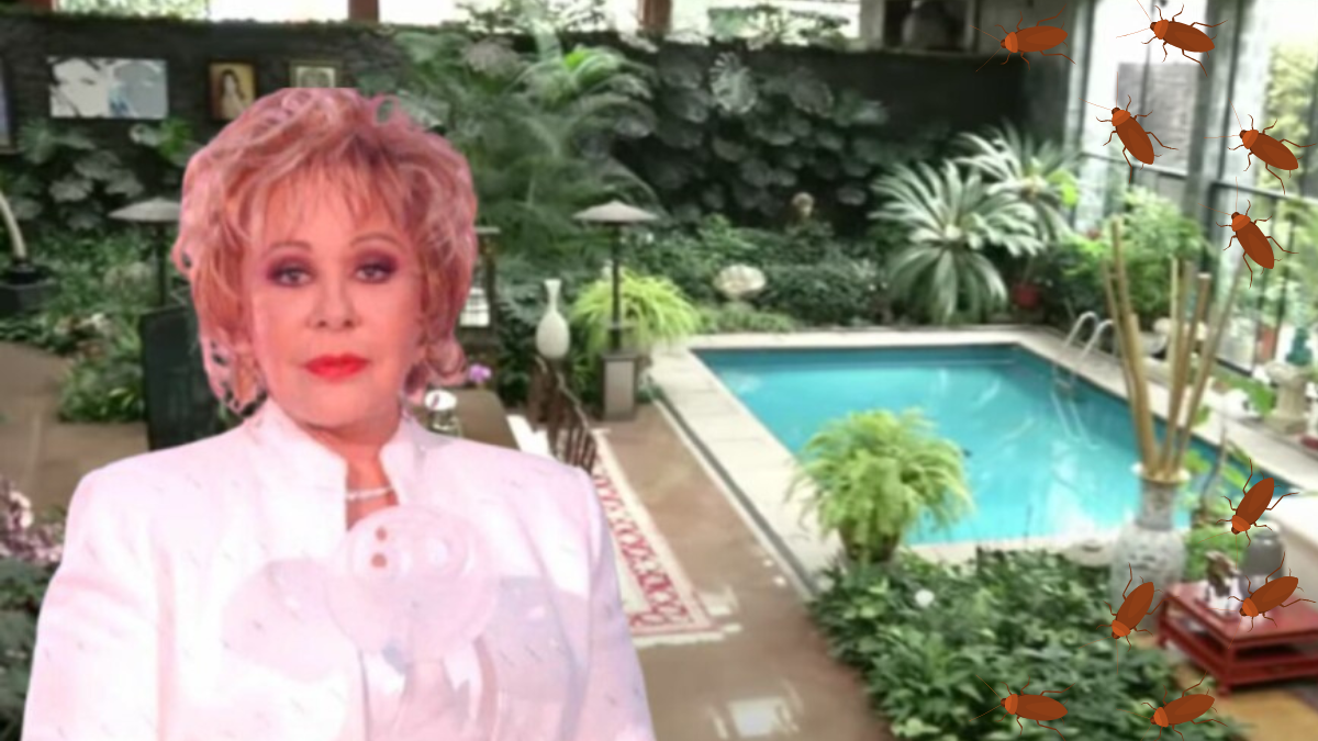La casa de Silvia Pinal tiene un “nido de cucarachas”? Revelan deterioro y una posible venta millonaria