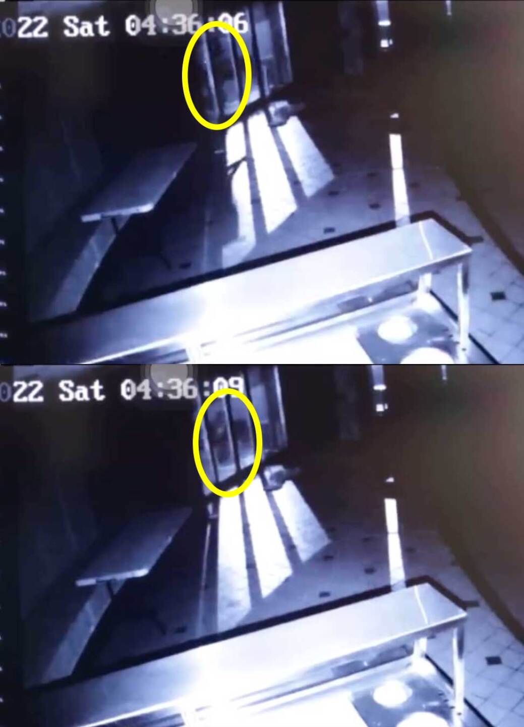 Nuevos videos de Debanhi dentro del motel