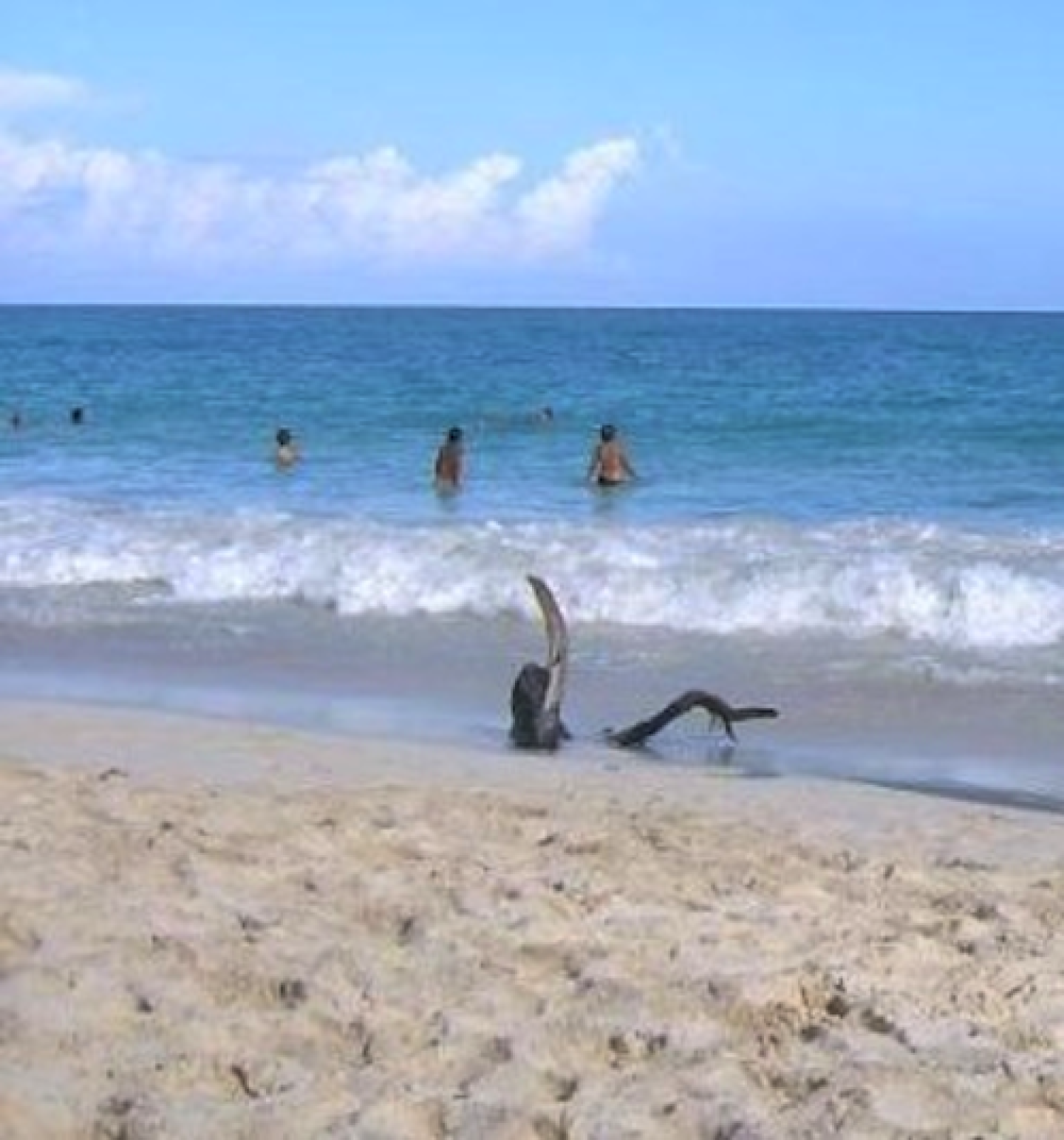 La comunidad brasileña pide se permita topless en todas las playas.