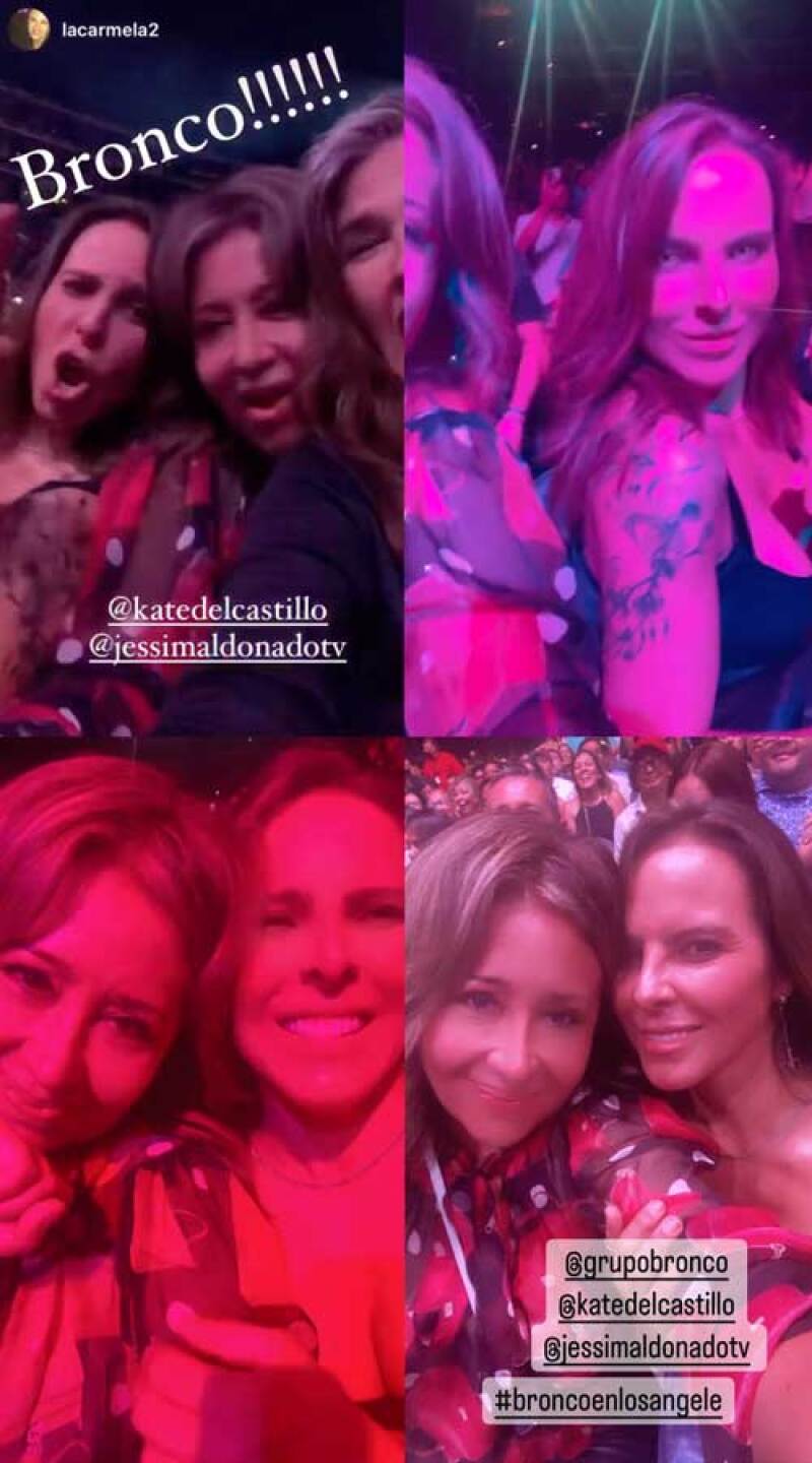 A Kate del Castillo se le habrían pasado las copas en concierto de Bronco