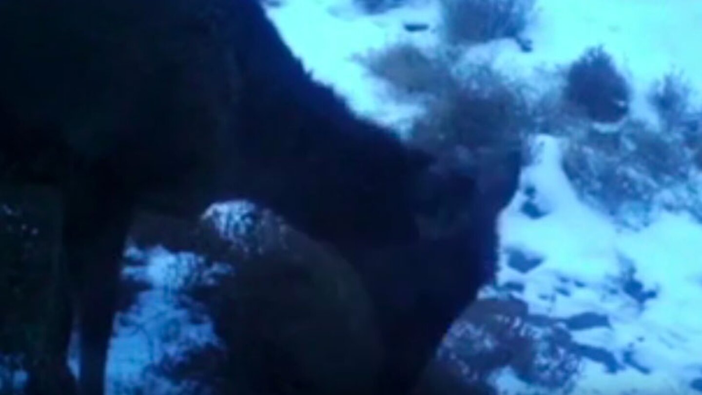 La única prueba es un video captado con una cámara infrarroja.