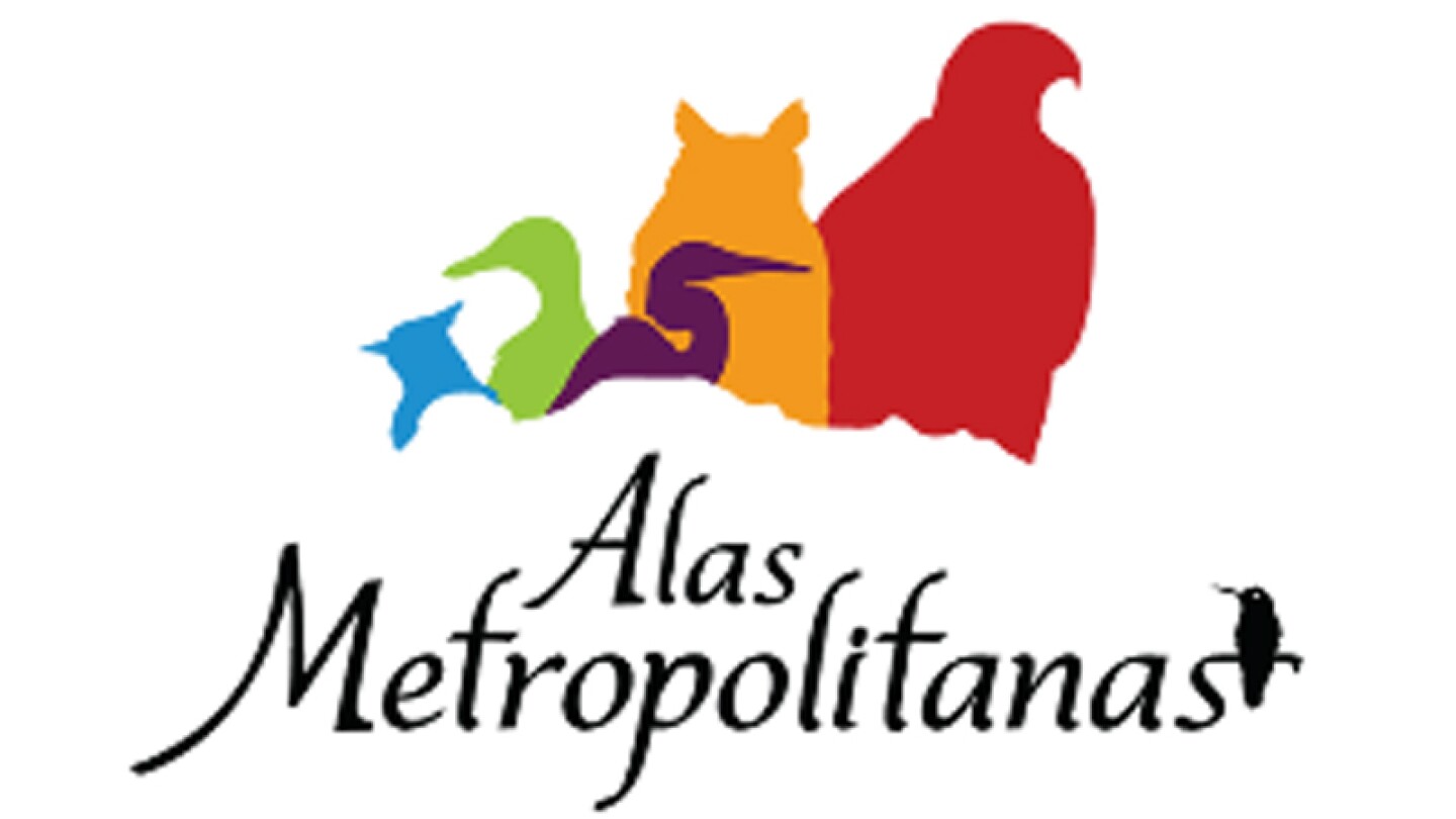 Zoológicos de CDMX se une al Festival Mundial de las Aves ‘Alas Metropolitanas’