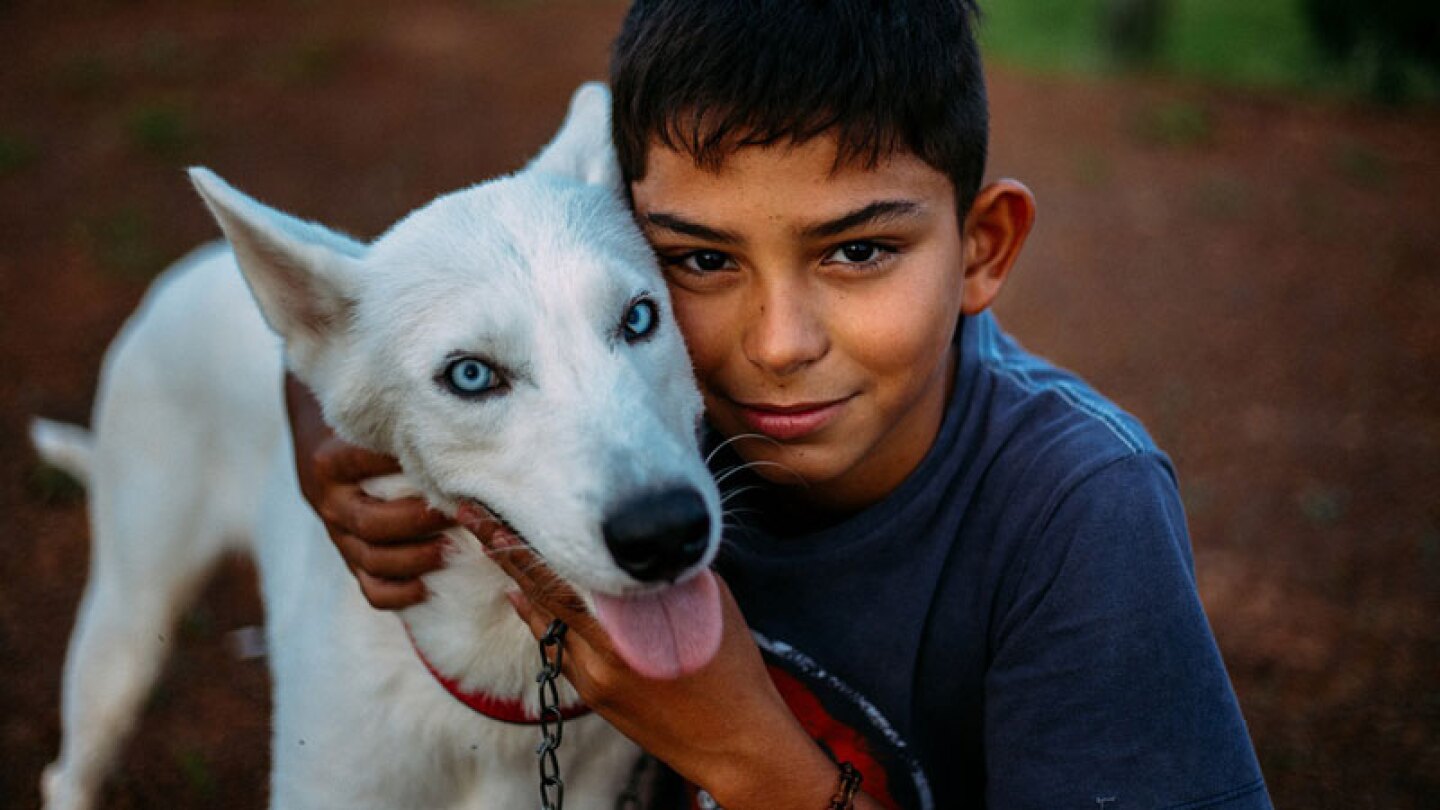 Niño baña perritos