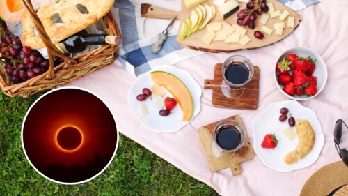 Picnic bajo la sombra