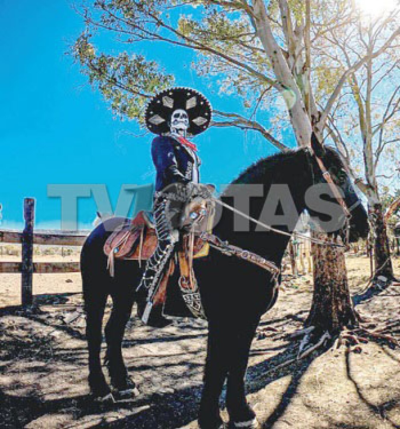 El Charro González tvnotas