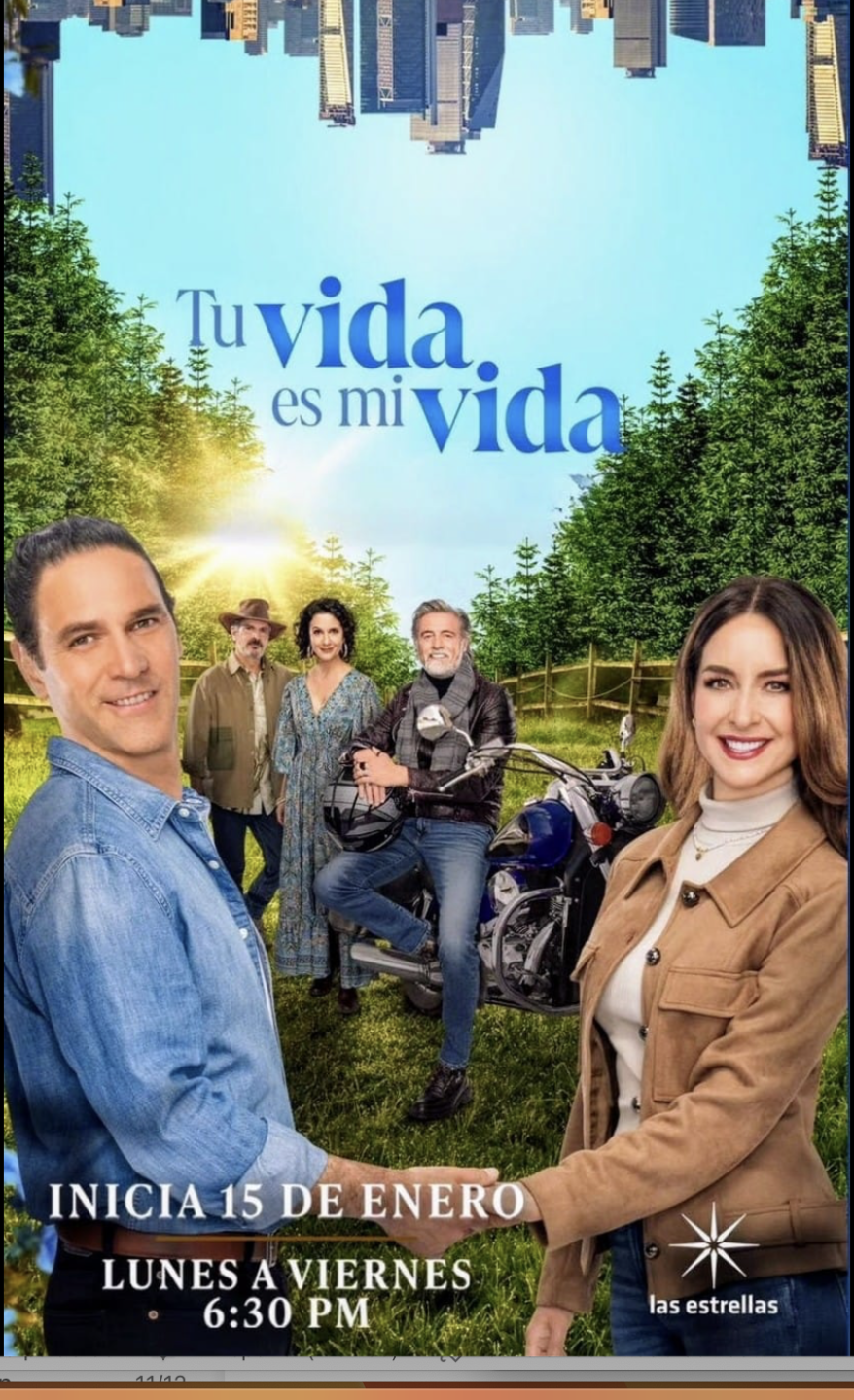Poster Tu vida es mi vida