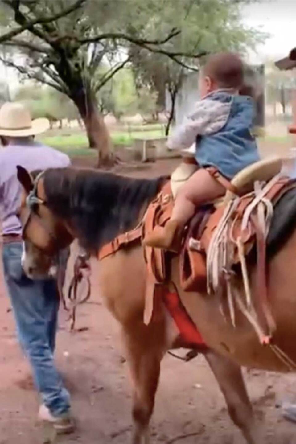 Camila Fernández compartió video.