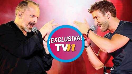 Miguel Bosé se estaría dando una oportunidad en el amor con Pablo Alborán