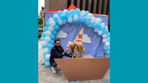Taller de snacks saludables para perro Interceramic