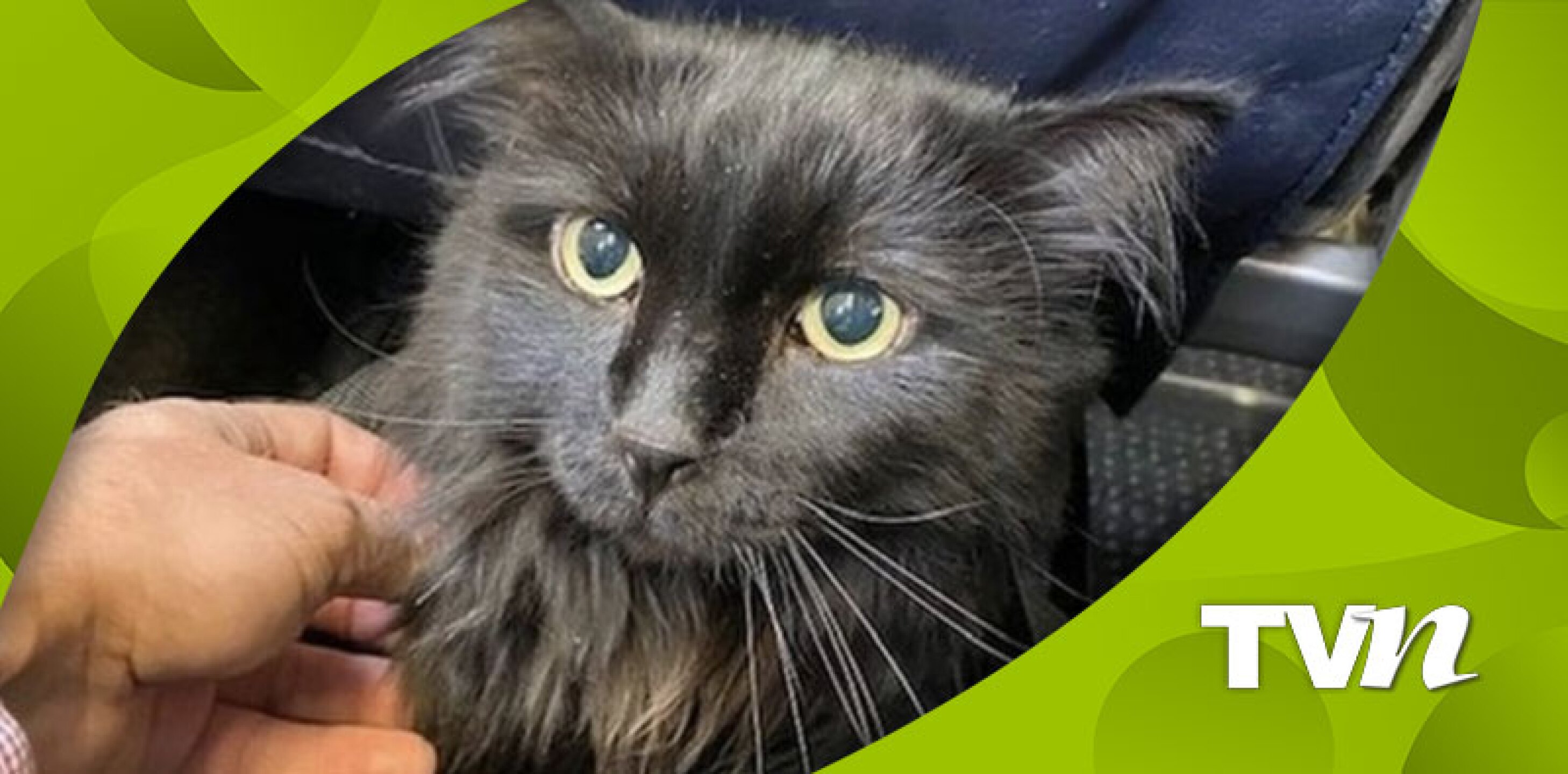 Santa Fe Animal Shelter