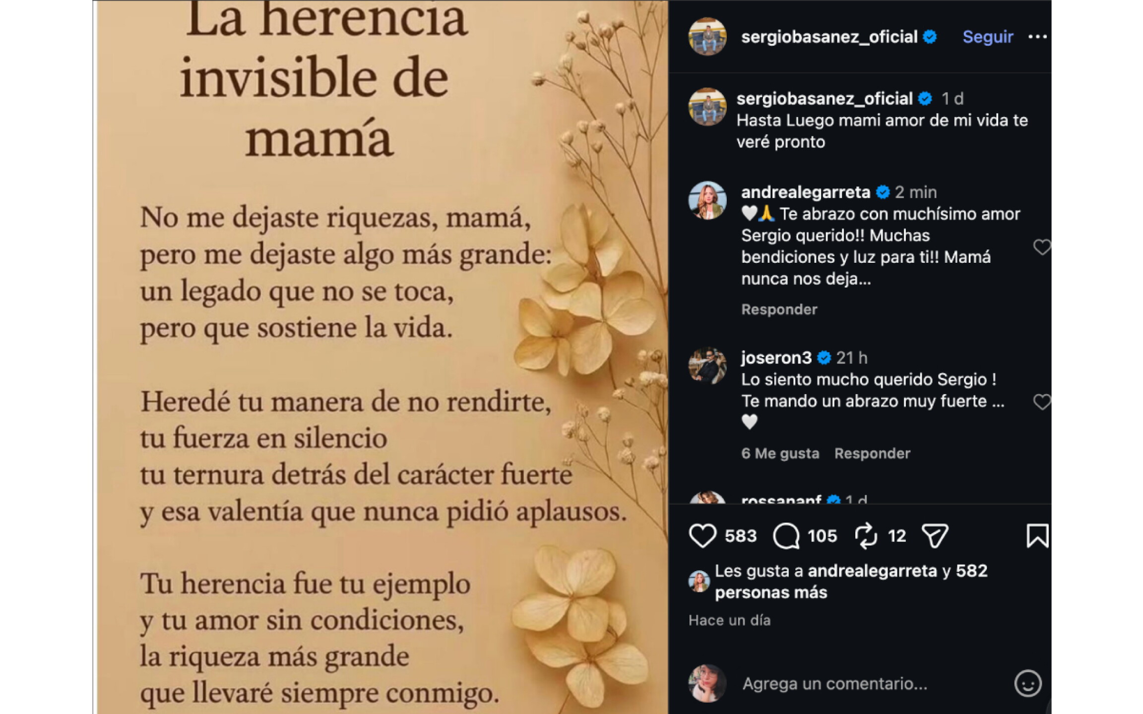 Mensaje de Sergio Basañez