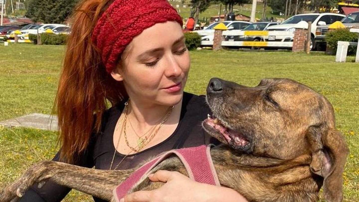 Perrita de Ariadne Díaz es atacada