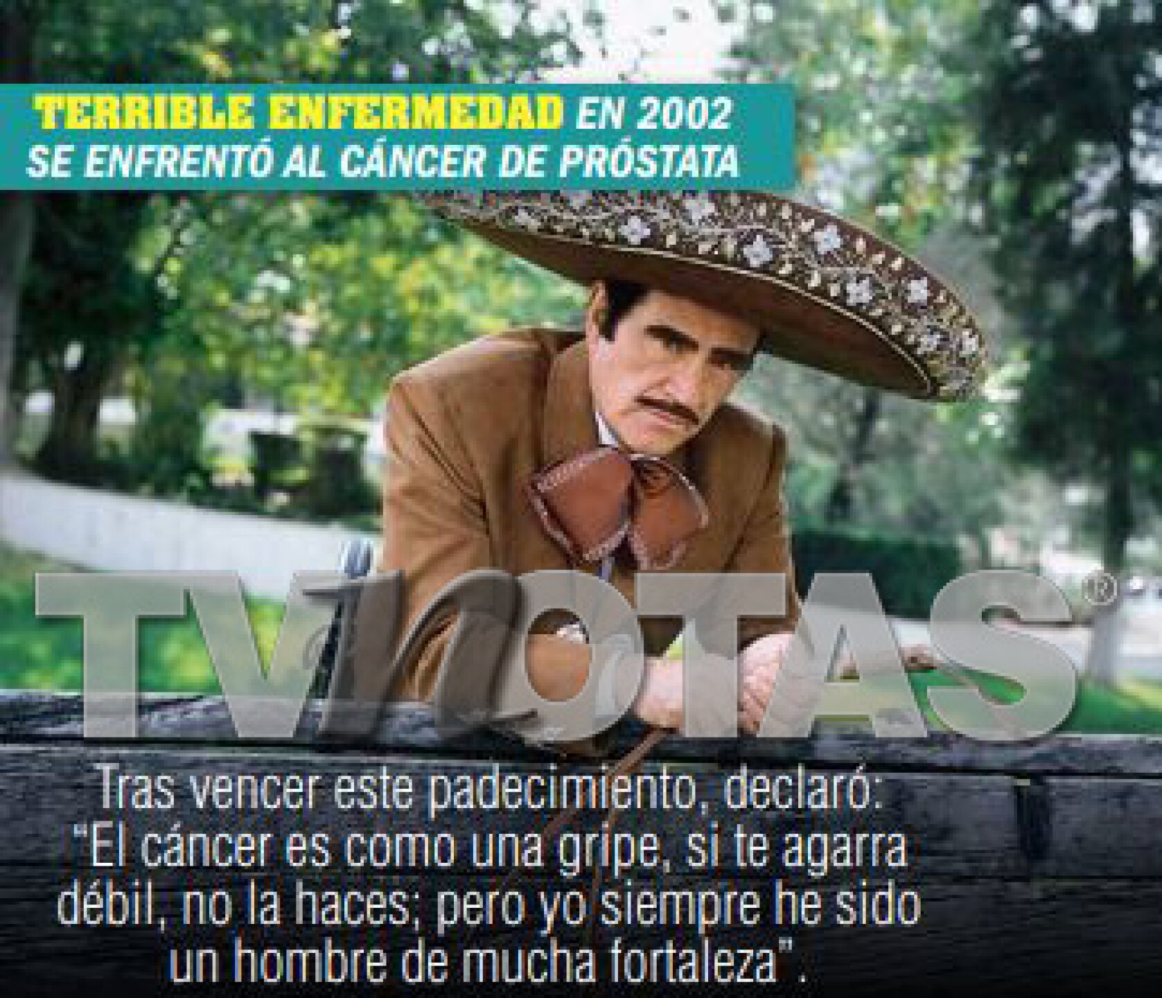 Archivo TVNotas.