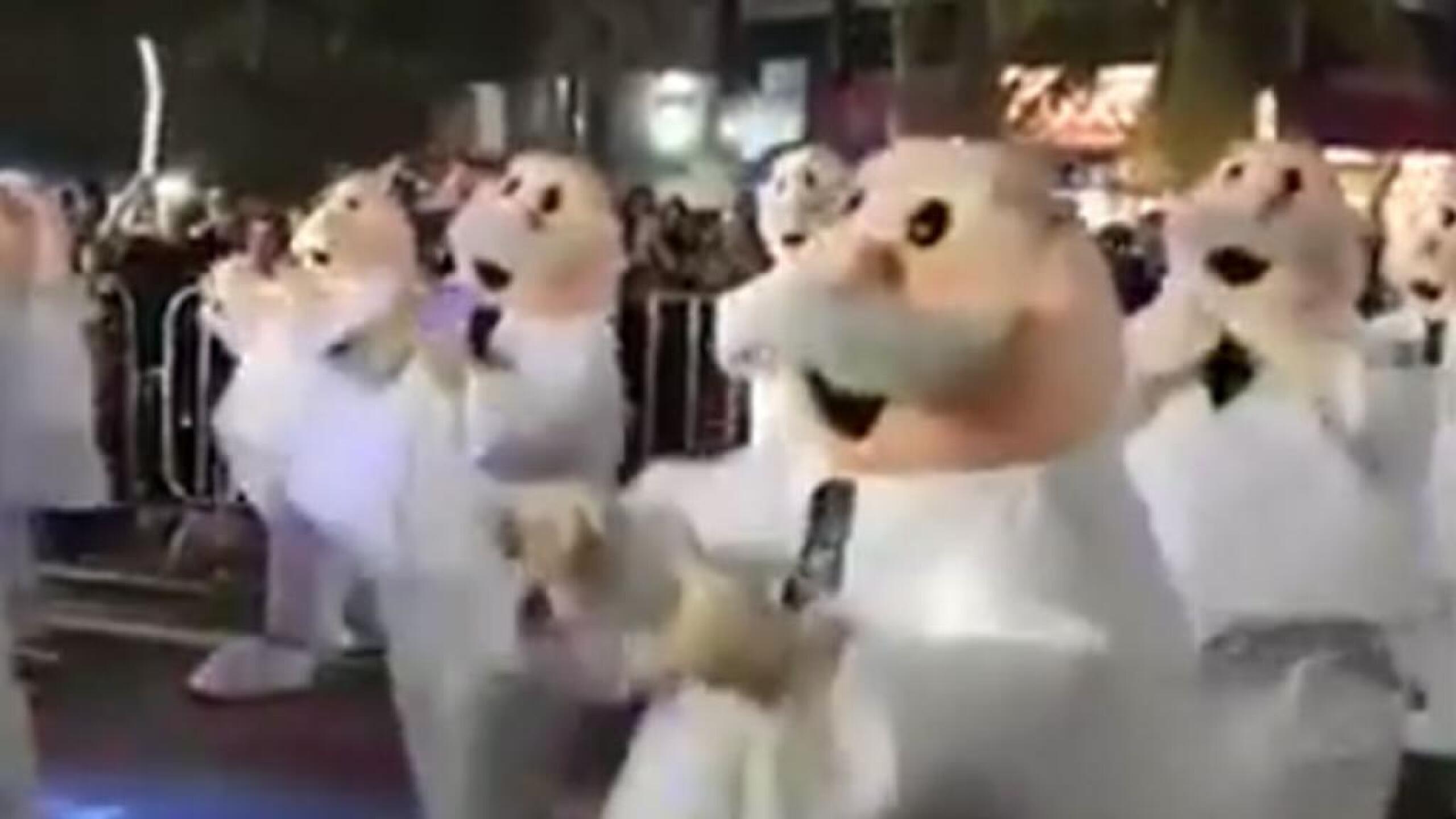 Las botargas de galleta trataron de auxiliar a su compañero