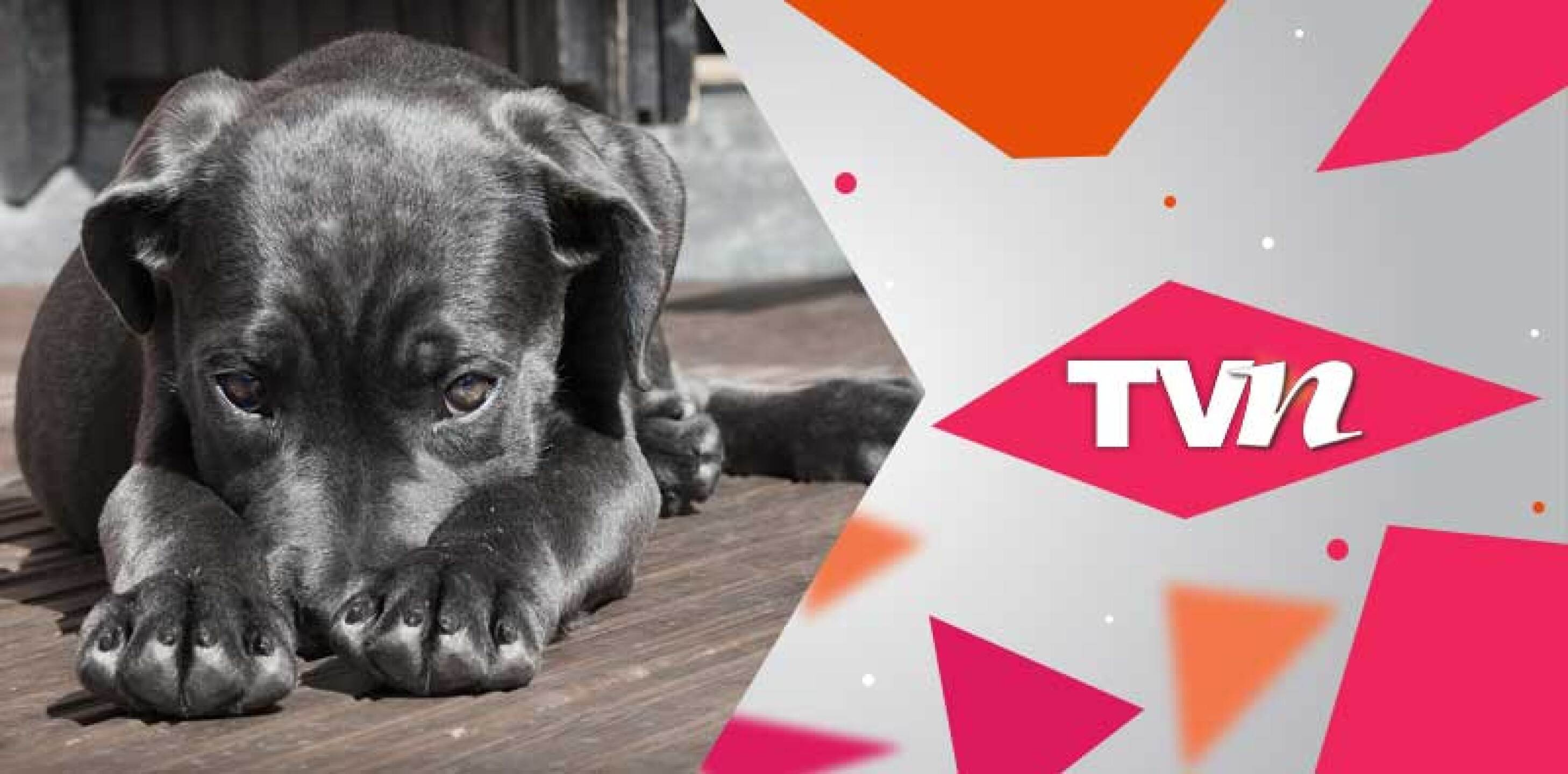 A continuación el video del momento exacto en que los salvan, estaban en condiciones lamentables.