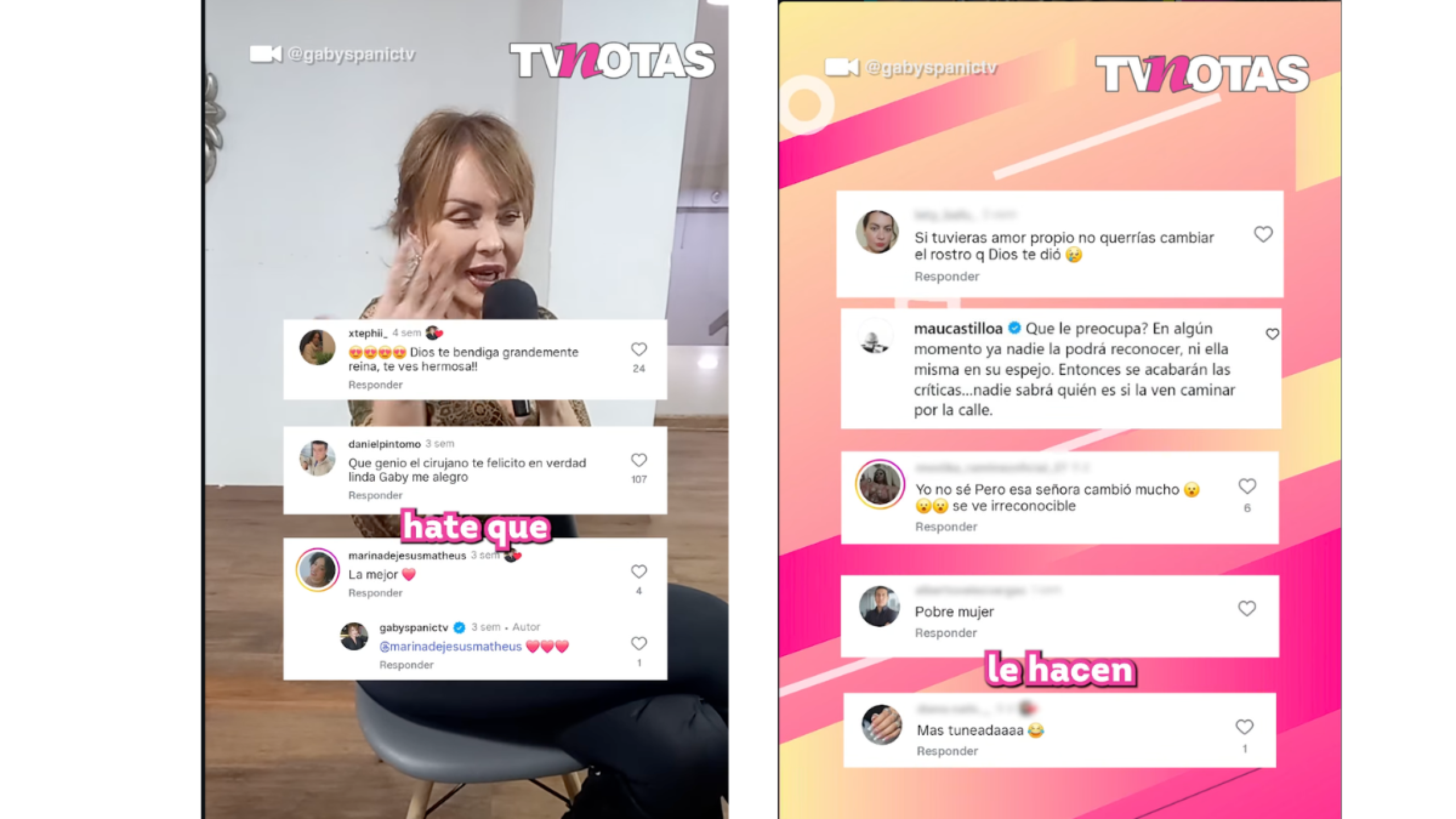 Gaby Spanic VS TVNotas