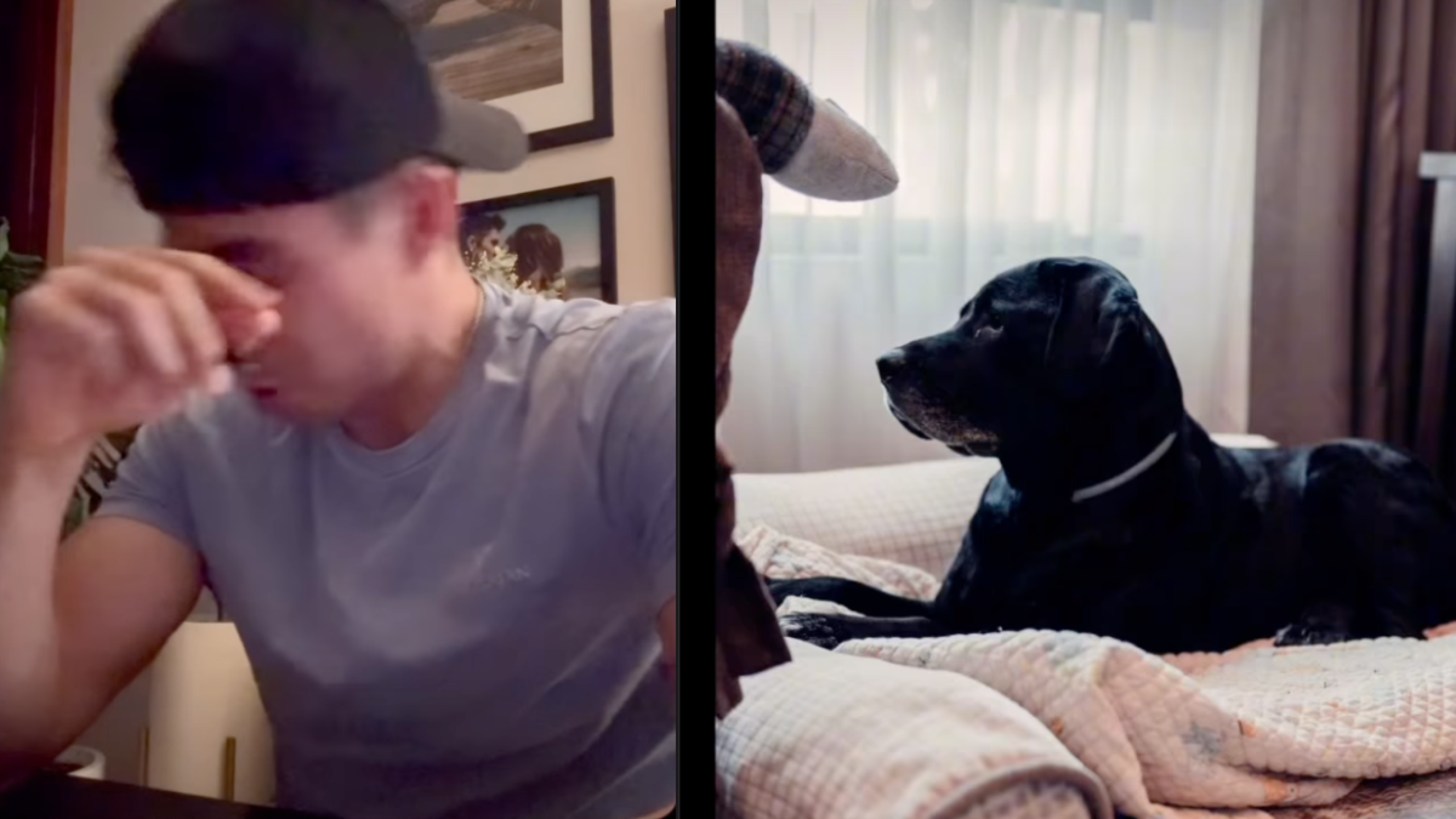 Daniel Corral se viste de luto tras la muerte de su perrito