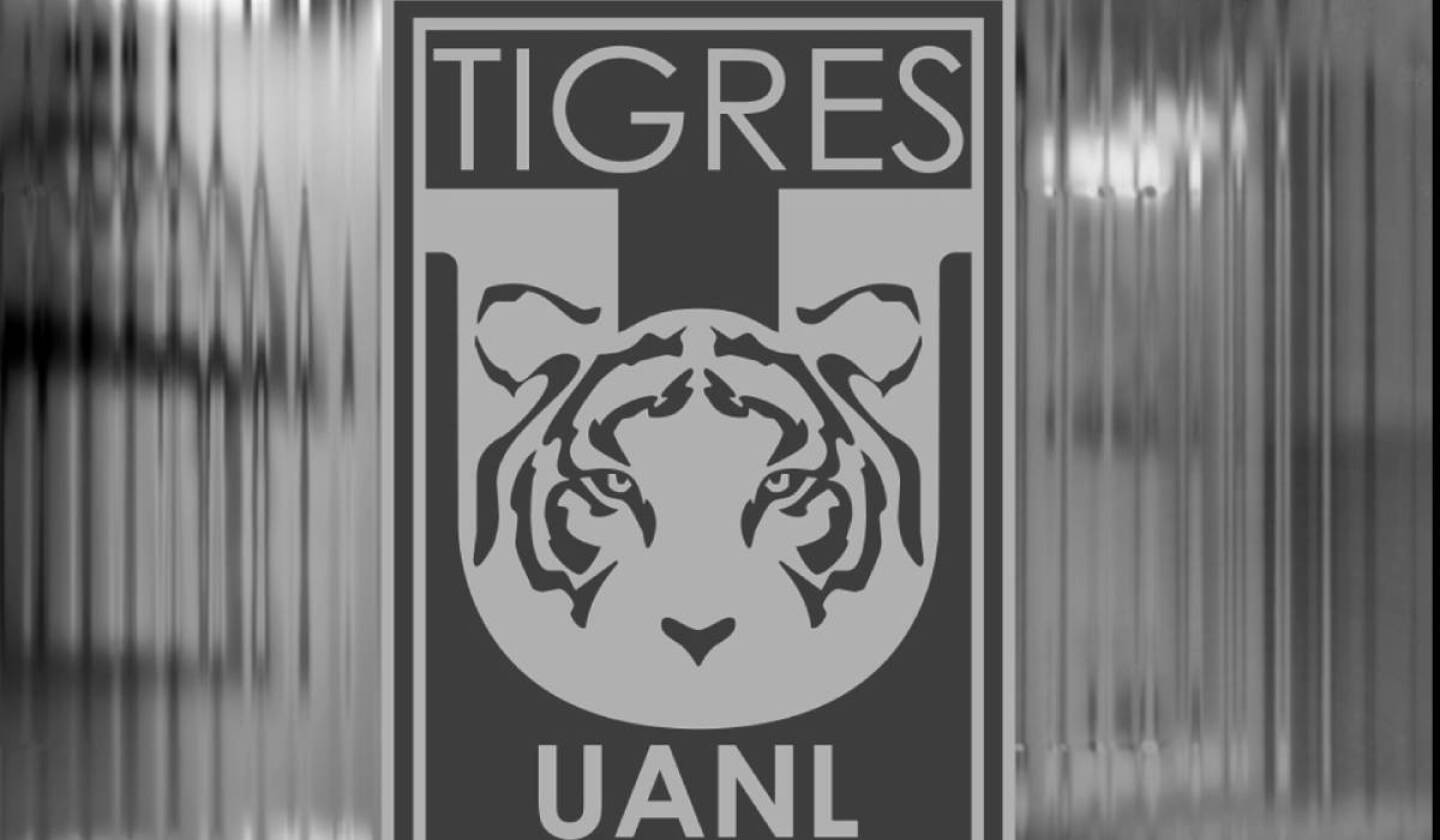 Detienen a exjugador de Tigres