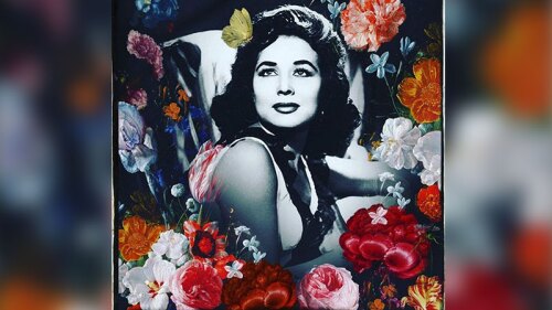 flor silvestre cumpleaños pepe aguilar