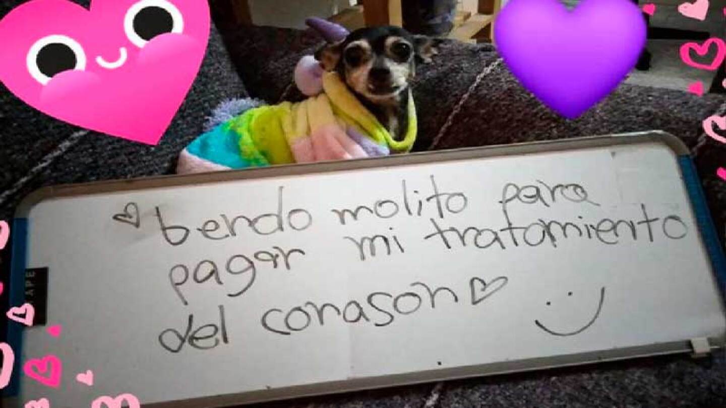 molito.jpg