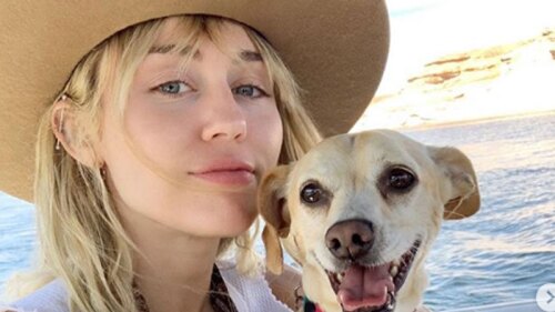 Miley Cyrus se someterá a tratamiento para sanar sus cuerdas vocales