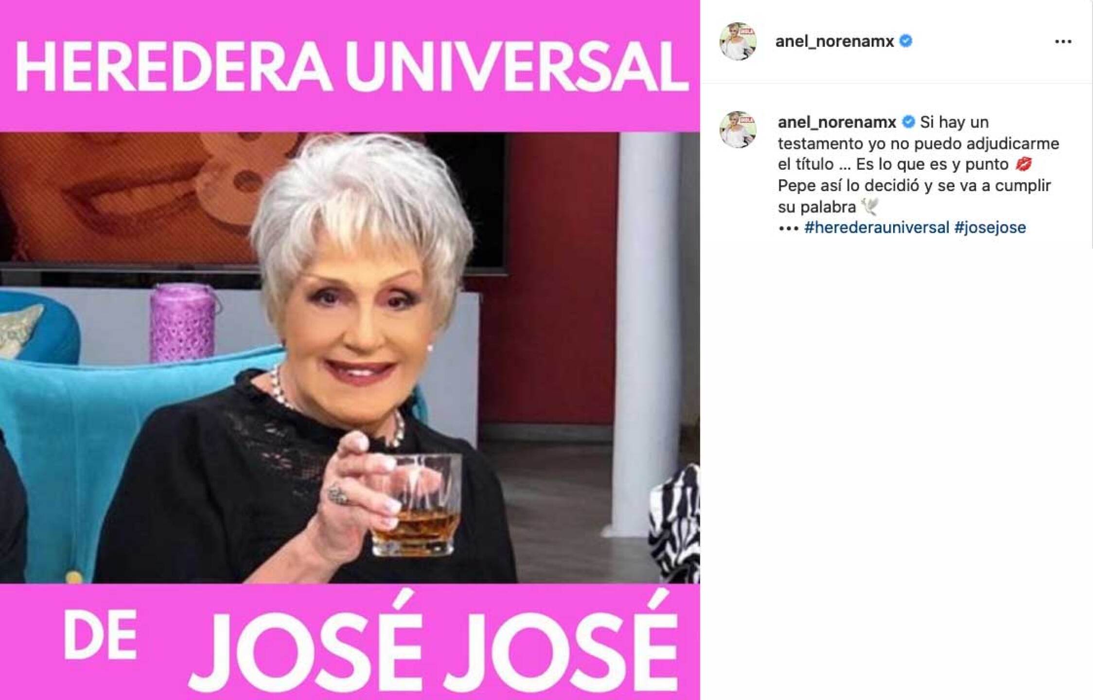 José José y Anel fueron pareja